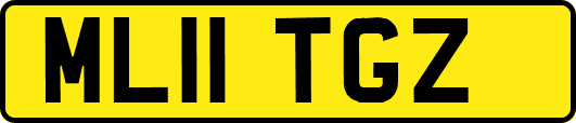 ML11TGZ