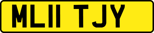 ML11TJY