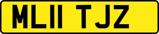 ML11TJZ