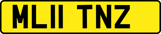 ML11TNZ