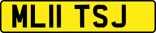 ML11TSJ