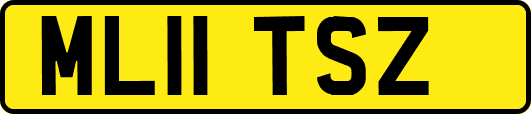 ML11TSZ