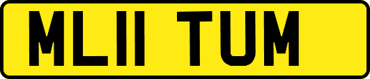 ML11TUM