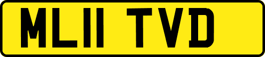 ML11TVD