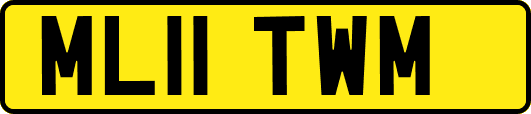 ML11TWM