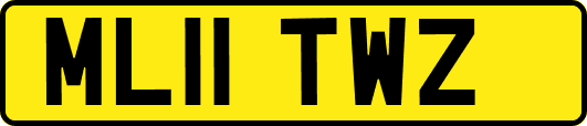 ML11TWZ