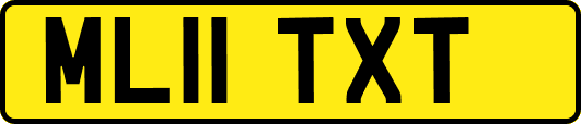 ML11TXT