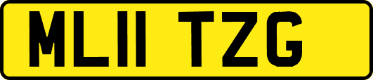 ML11TZG