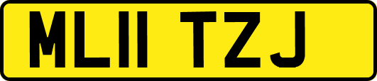 ML11TZJ