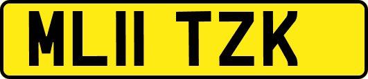 ML11TZK