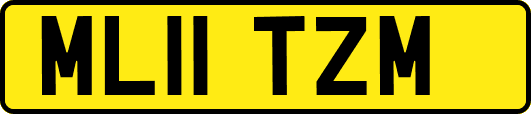 ML11TZM