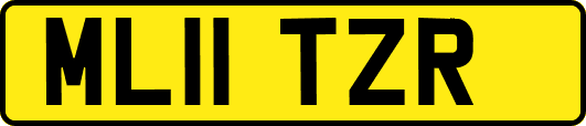 ML11TZR