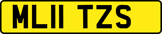 ML11TZS
