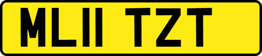 ML11TZT