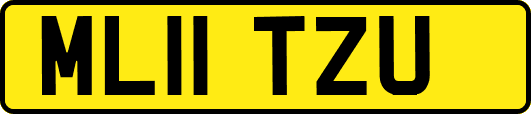 ML11TZU