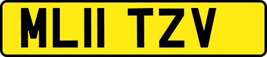 ML11TZV