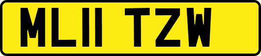 ML11TZW
