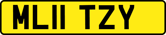 ML11TZY
