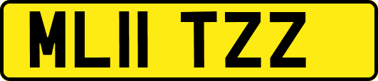 ML11TZZ