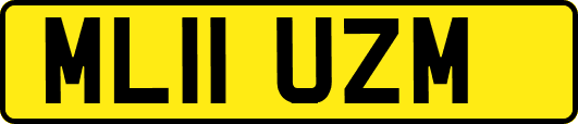 ML11UZM
