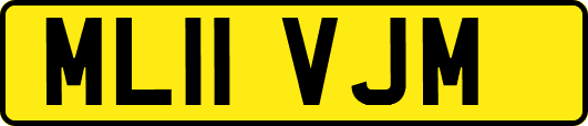 ML11VJM