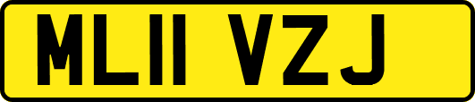 ML11VZJ