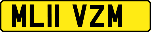 ML11VZM