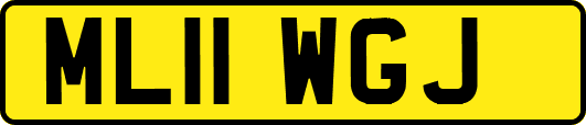 ML11WGJ