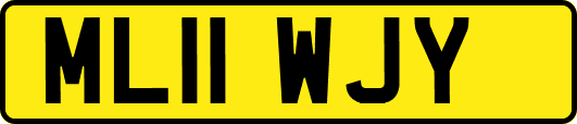 ML11WJY