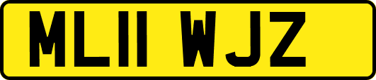 ML11WJZ