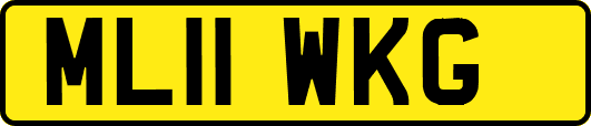 ML11WKG