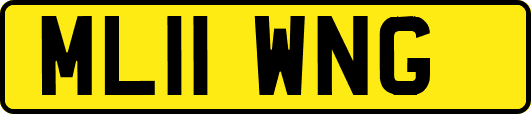 ML11WNG