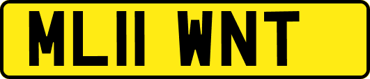 ML11WNT