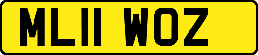 ML11WOZ
