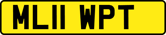 ML11WPT