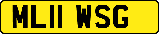 ML11WSG
