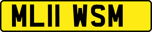 ML11WSM