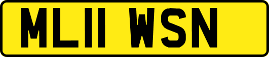 ML11WSN