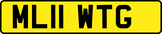 ML11WTG