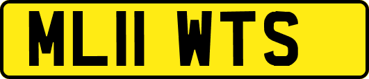 ML11WTS