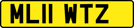 ML11WTZ