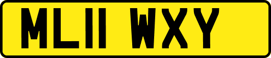 ML11WXY