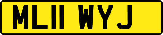 ML11WYJ