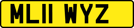 ML11WYZ