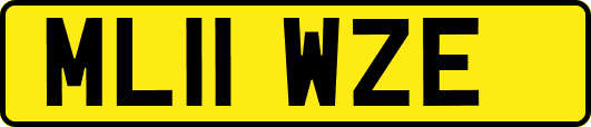 ML11WZE
