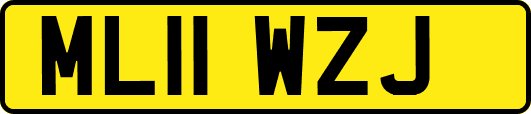 ML11WZJ