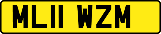 ML11WZM