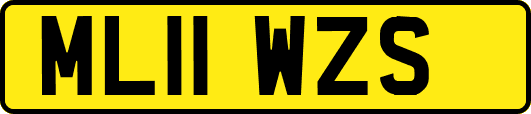 ML11WZS