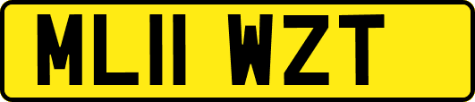 ML11WZT