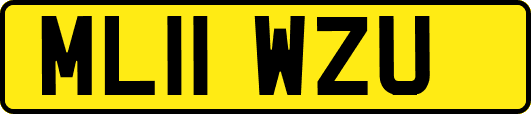 ML11WZU